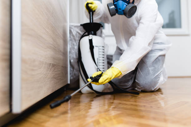 Best Affordable Pest Control Services  in Sunrise, FL