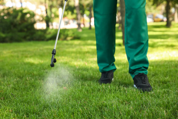 Best Pest Removal Services  in Sunrise, FL