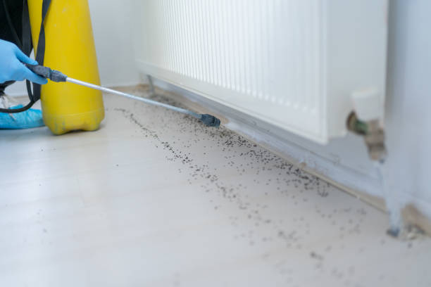Best Best Pest Control Companies  in Sunrise, FL
