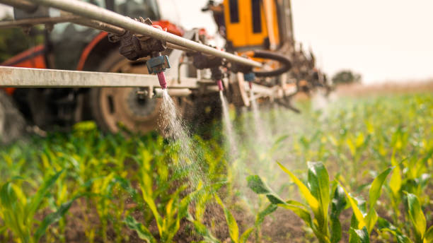 Best Mosquito Control Services  in Sunrise, FL